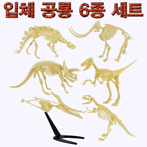 입체 공룡 6종 세트