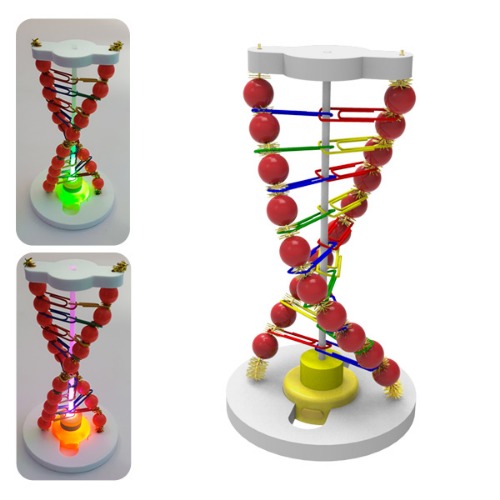 LED DNA 조명등