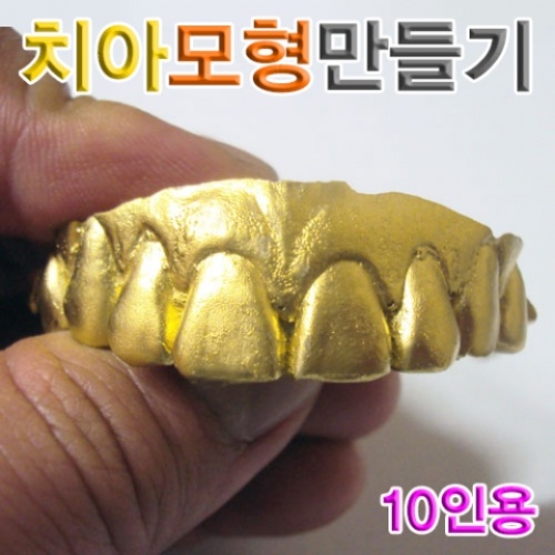 치아모형만들기(10인용)