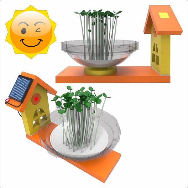 EVA 새싹 정원 만들기(일반형/태양광 주택형)