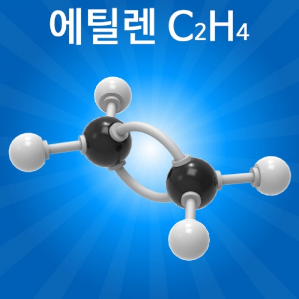 분자구조 만들기(에틸렌)-5인용