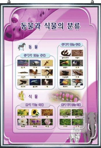 동물과 식물의 분류