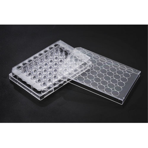 48 Well Cell Culture Plate (SPL)