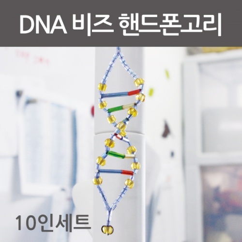 DNA비즈핸드폰고리만들기(10인용)