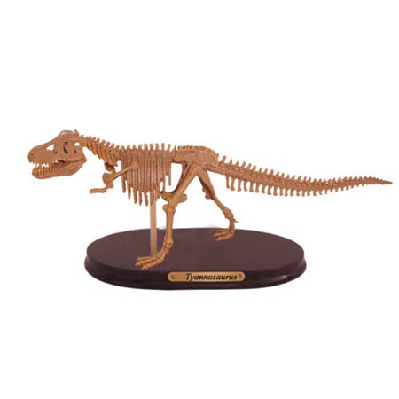 공룡뼈발굴(특대형) - 티라노사우루스