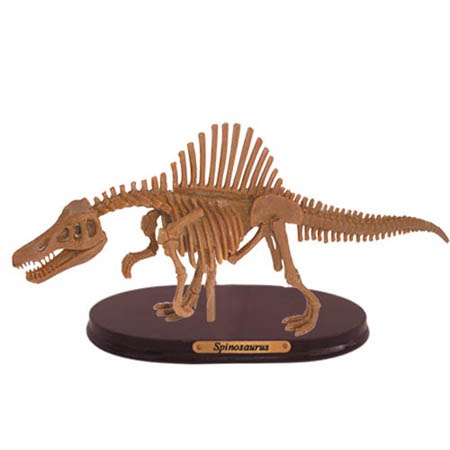 공룡뼈발굴(특대형) - 스피노사우루스