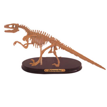 공룡뼈발굴(특대형) - 데이노니쿠스