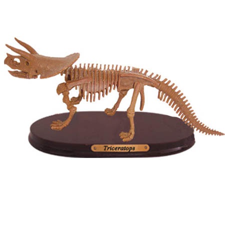공룡뼈발굴(특대형) - 트리케라톱스