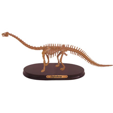 공룡뼈발굴(특대형) - 디플로도쿠스