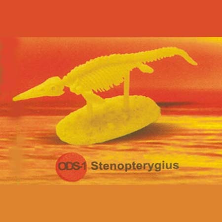 공룡뼈발굴 - 스테노프테리기우스