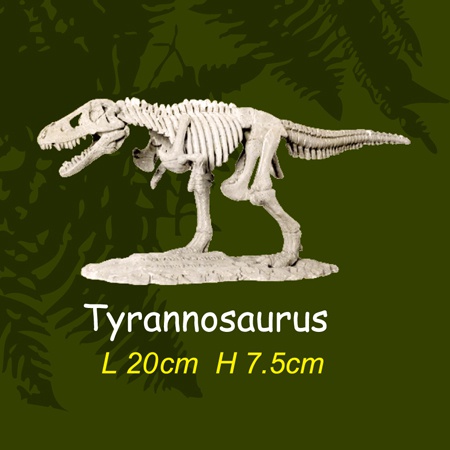 공룡뼈발굴 - 티라노사우루스(대형)