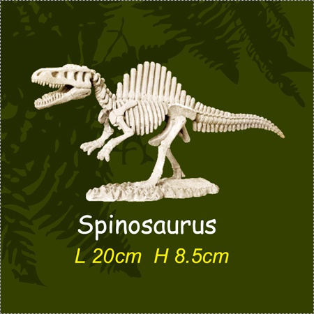공룡뼈발굴 - 스피노사우루스(대형)