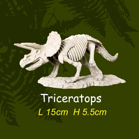 공룡뼈발굴 - 트리케라톱스(대형)