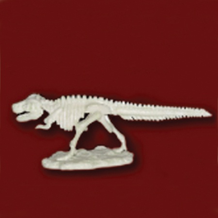 공룡뼈발굴 - 티라노사우루스(중형)