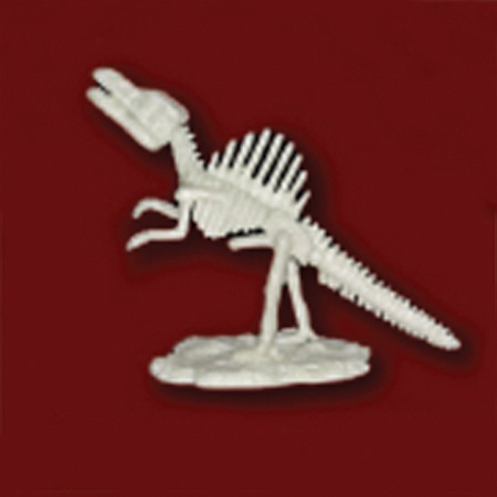 공룡뼈발굴 - 스피노사우루스 (중형)