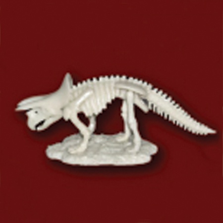 공룡뼈발굴 - 트리케라톱스(중형)