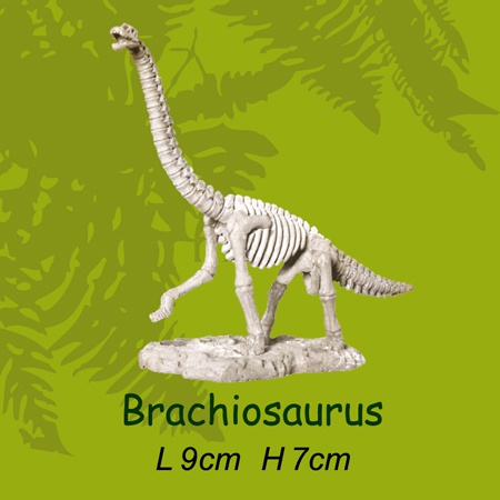 미니공룡뼈발굴 - 브라키오사우루스