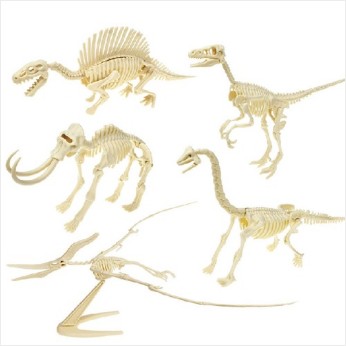 3D입체형 공룡뼈 조립 (2종 택1)