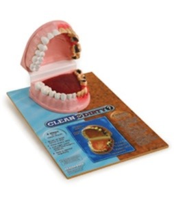 치아비교모형