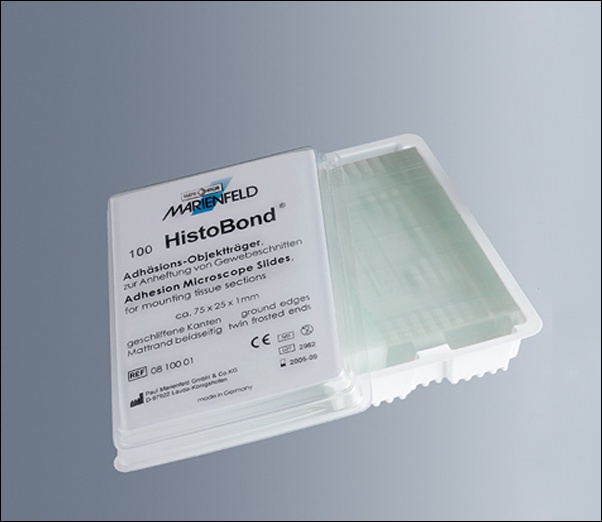 HistoBond® adhesive Slide Glass / 코팅 슬라이드글라스