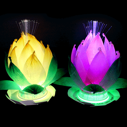 물에 띄우는 LED소원꽃만들기(5인 세트)