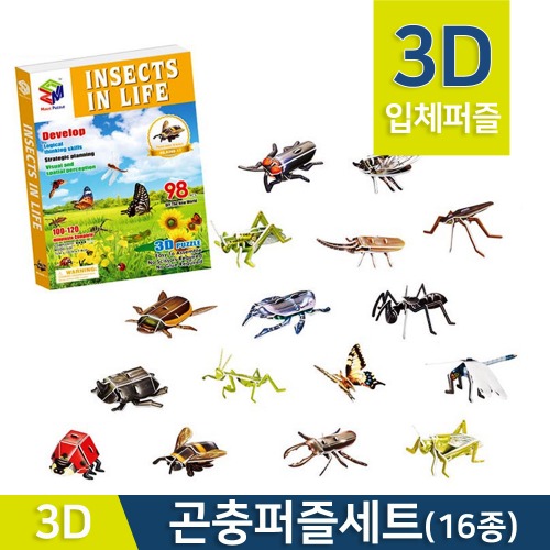 3D입체 곤충퍼즐세트