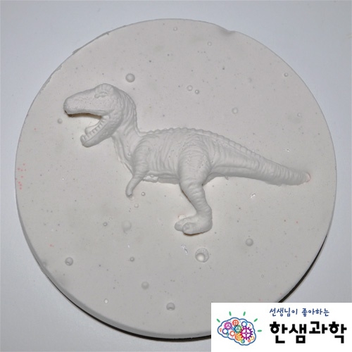 공룡화석 만들기 (5인용) - 4학년2학기
