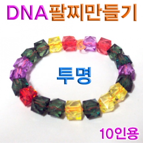 DNA투명팔찌만들기(10인용)