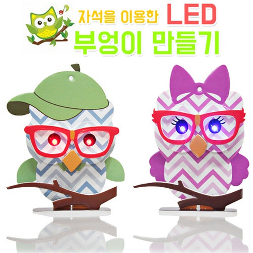 LED 부엉이 만들기(자석, 전도테이프 이용, 건전지 포함)