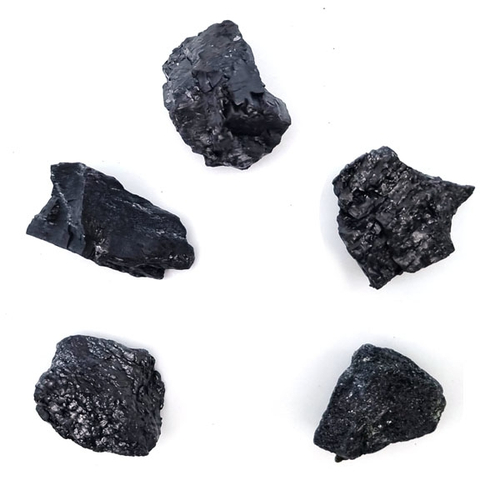 실험용광물 석탄 - (5개입 / 케이스 포함)