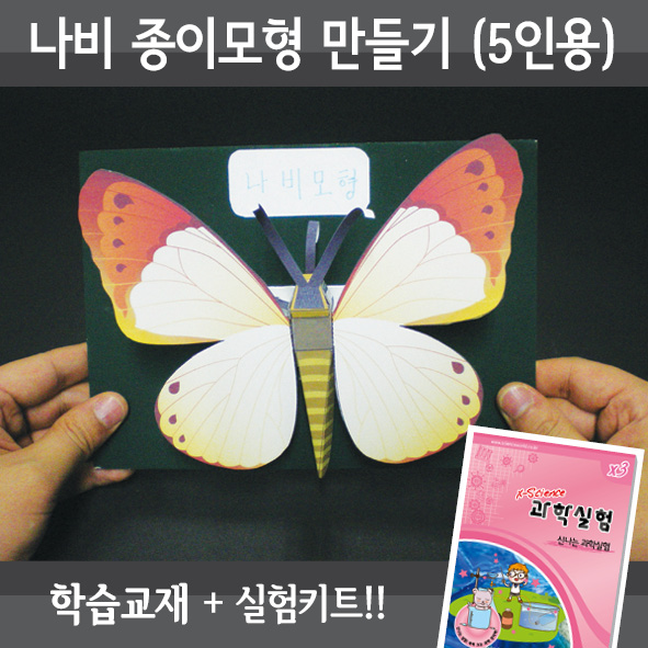 나비종이모형만들기(5인세트)