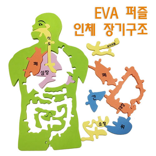 EVA 인체 장기구조 퍼즐