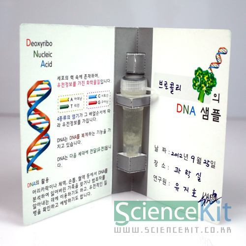 DNA추출 I -식물세포[12인용]