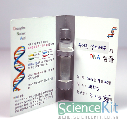 DNA추출 II-동물세포[12인용]
