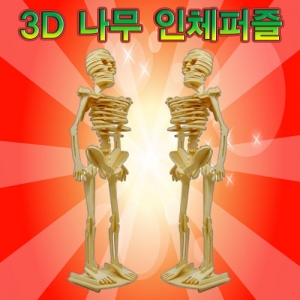 3D나무인체퍼즐