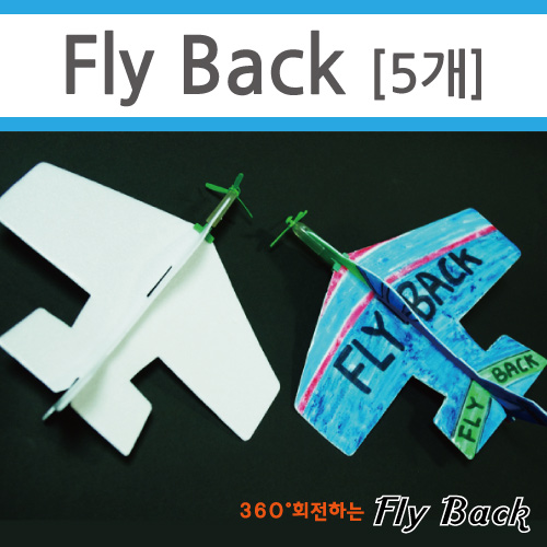플라이백 글라이더 Fly Back(5명1세트)