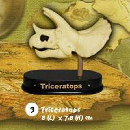 공룡두개골발굴 - 트리케라톱스(소형)
