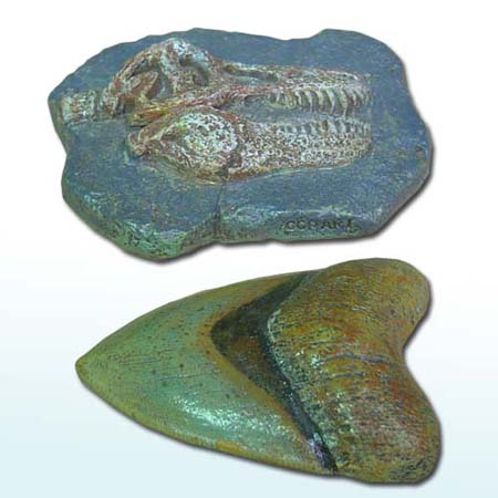 고대상어&amp;티라노사우루스 화석