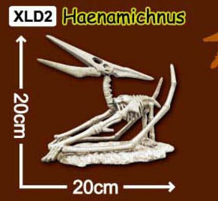 한반도공룡뼈발굴(특대형) - 해남이크누스