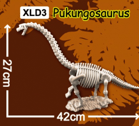 한반도공룡뼈발굴(특대형) - 부경고사우루스