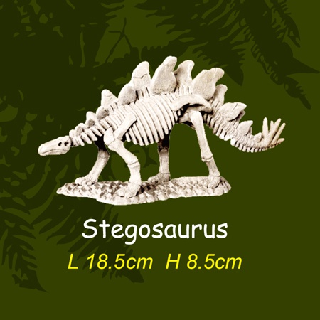 공룡뼈발굴 - 스테고사우루스(대형)