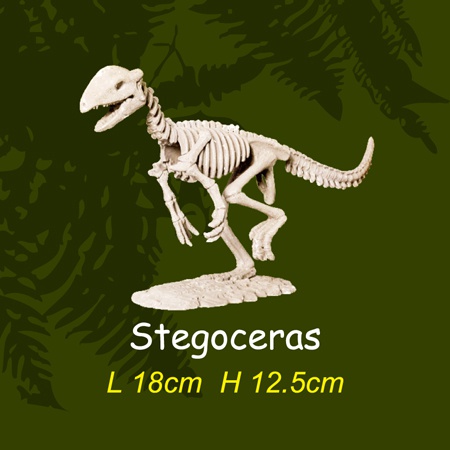 공룡뼈발굴 - 스테고세라스(대형)