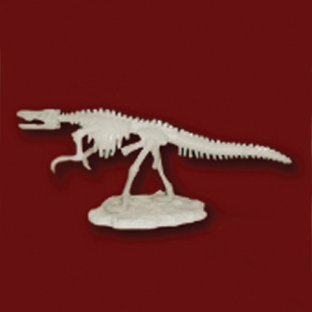 공룡뼈발굴 - 바리요닉스(중형)