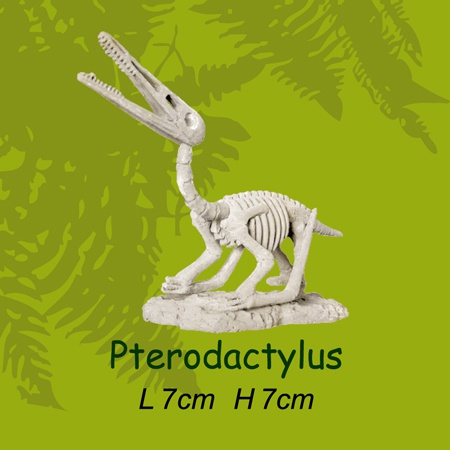 미니공룡뼈발굴 - 프테로닥티루스